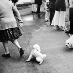 Claude-Breteau-Expo-Deux_8