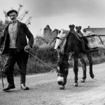 © Claude Breteau