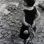 Avignon ( 2012) - 