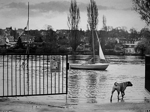 Corbeil-Essonnes - "La base nautique innondée"