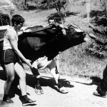 Claude Breteau - Photo 16