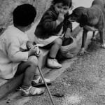 Provence (1963) - 