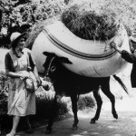 Claude-Breteau - Photo 4