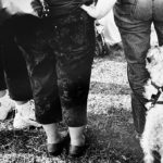 Caniche