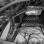 Arbre et Tour Eiffel-1