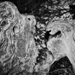 Autoroute de Nevers-2